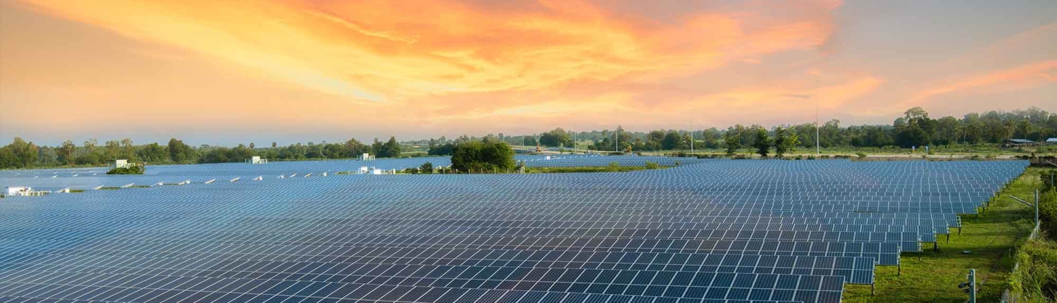 Solar Farms Affect the Environment