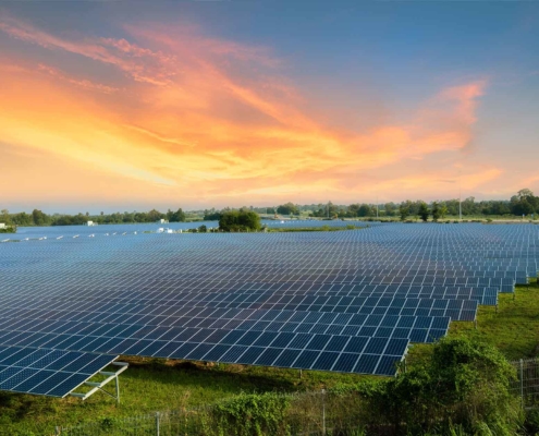 Solar Farms Affect the Environment